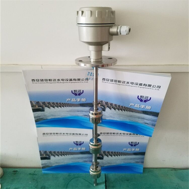 电厂液位开关WX-3/1000A顶盖排水液位信号器