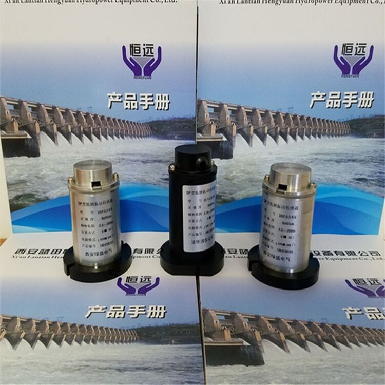 水机振摆元件DPS-0.5-5-H/V低频振动传感器