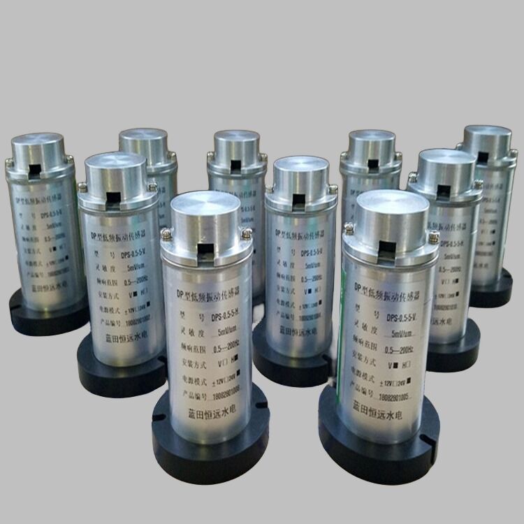 水机振摆元件DPS-0.5-5-H/V低频振动传感器