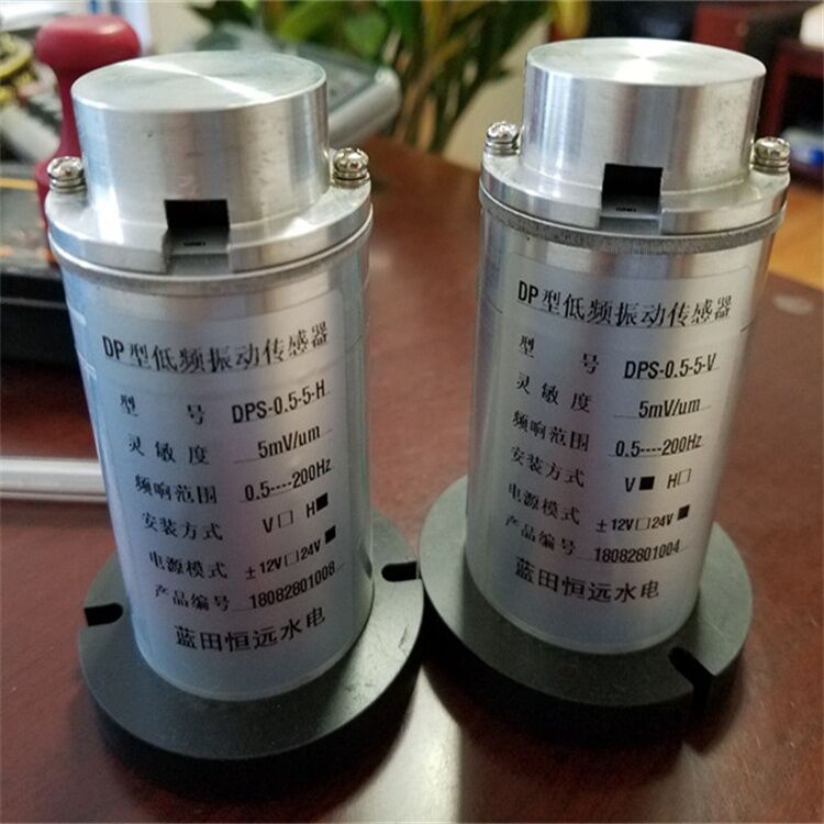 水机振摆元件DPS-0.5-5-H/V低频振动传感器