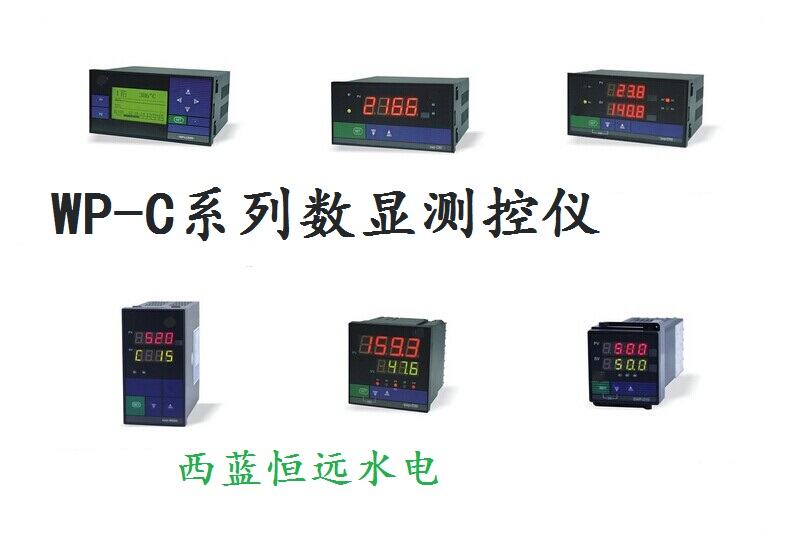 智能温度测控仪WP-C804-02-09-3HL测温表
