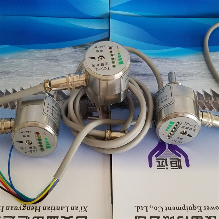 热导式流量开关TCS-G1/2-K1流量控制器
