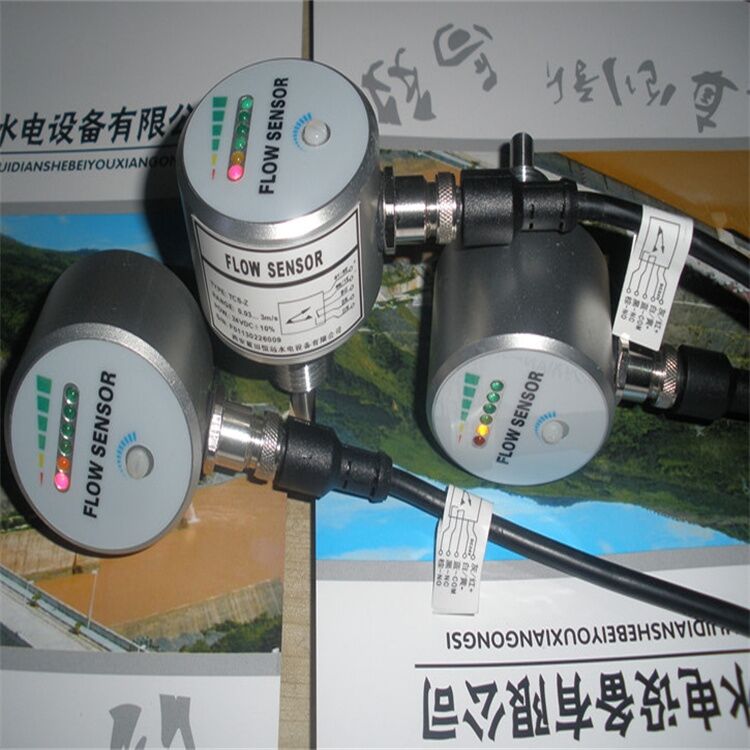 螺纹安装SN55-G14HDPRQ流量开关示意图