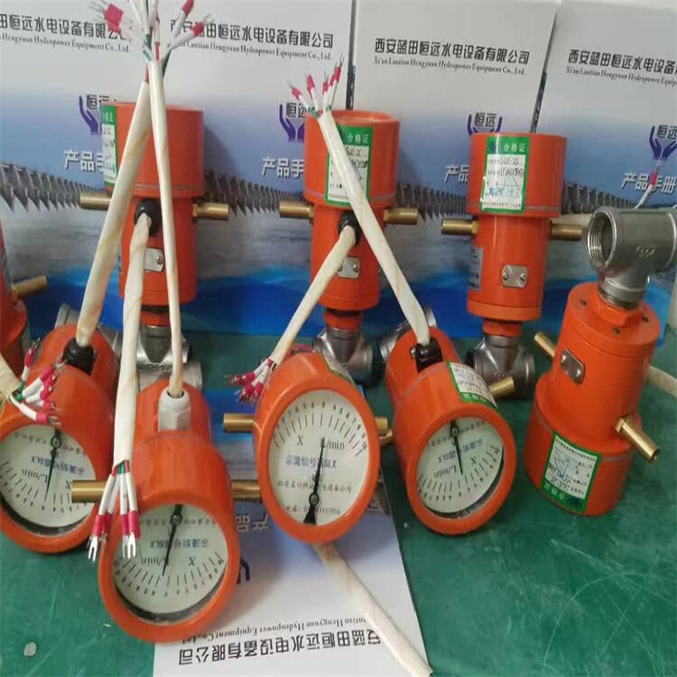重庆SLX-40-50ZS双向示流指示器可定制