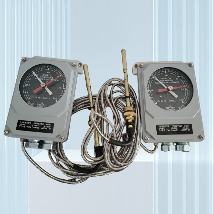 电厂测温元件BWY-803A(TH)温度指示控制器
