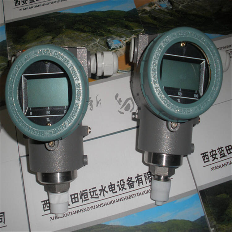 v6g8558.JPG